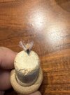 IMG_3200.jpeg