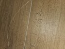 20260817_202636.jpg