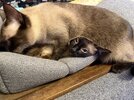 IMG_2733.jpeg