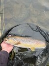 IMG_6462.jpeg