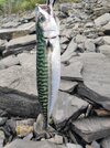 IMG_20260819_085451.jpg