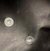 IMG_8140.jpeg