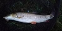 IMG_20260807_211044.jpg