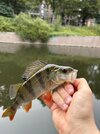 IMG_4104.jpeg