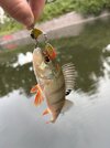 IMG_4105.jpeg