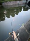 IMG_4106.jpeg