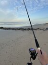 IMG_2529.jpeg