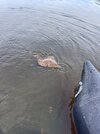 IMG_0726.jpeg