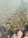 IMG_20260822_161756.jpg