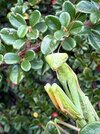 IMG_0756.jpeg IMG_0756.jpeg