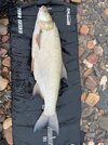 IMG_5079.jpeg