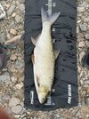 IMG_5080.jpeg