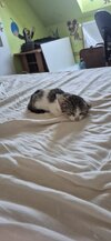 20260823_073733.jpg 20260823_073733.jpg