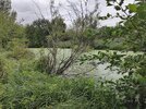 IMG_20260822_101110.jpg
