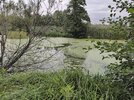 IMG_20260822_101115.jpg