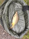 IMG_20260822_095558.jpg