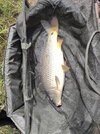 IMG_20260822_123907.jpg