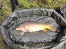 IMG_20260822_145002.jpg