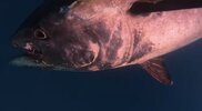 IMG_8779.jpeg
