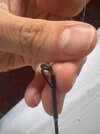 IMG_1886.jpeg