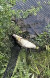 IMG_8464.jpeg