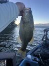 IMG_0152.jpeg
