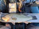 IMG_0198.jpeg
