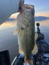 IMG_0191.jpeg