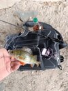 IMG_20260829_181943.jpg