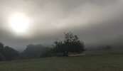 IMG_20260829_232918.jpg