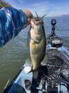 IMG_0037.jpeg