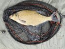 IMG_0736.jpeg