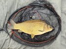 IMG_0738.jpeg