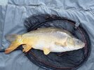 IMG_0745.jpeg