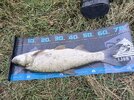 IMG_20260901_083525.jpg