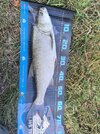 IMG_20260901_082037.jpg