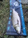 IMG_20260901_062234.jpg