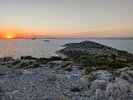 PXL_20260901_172827218.jpg