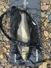 IMG_5117.jpeg