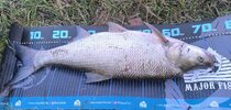 IMG_20260903_130847.jpg