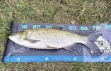 IMG_20260903_130733.jpg