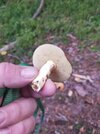 IMG20260903075510.jpg