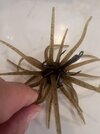 IMG_0320.jpeg