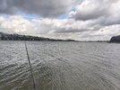 IMG_20260905_112141.jpg
