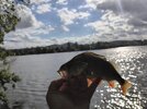 IMG_20260905_163515.jpg