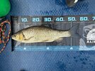 IMG_3418.JPG