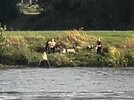 IMG_20260907_204011.jpg