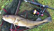 IMG_1189.jpeg