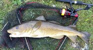 IMG_1200.jpeg