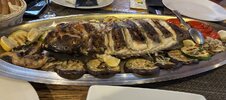IMG_0046.jpeg IMG_0046.jpeg